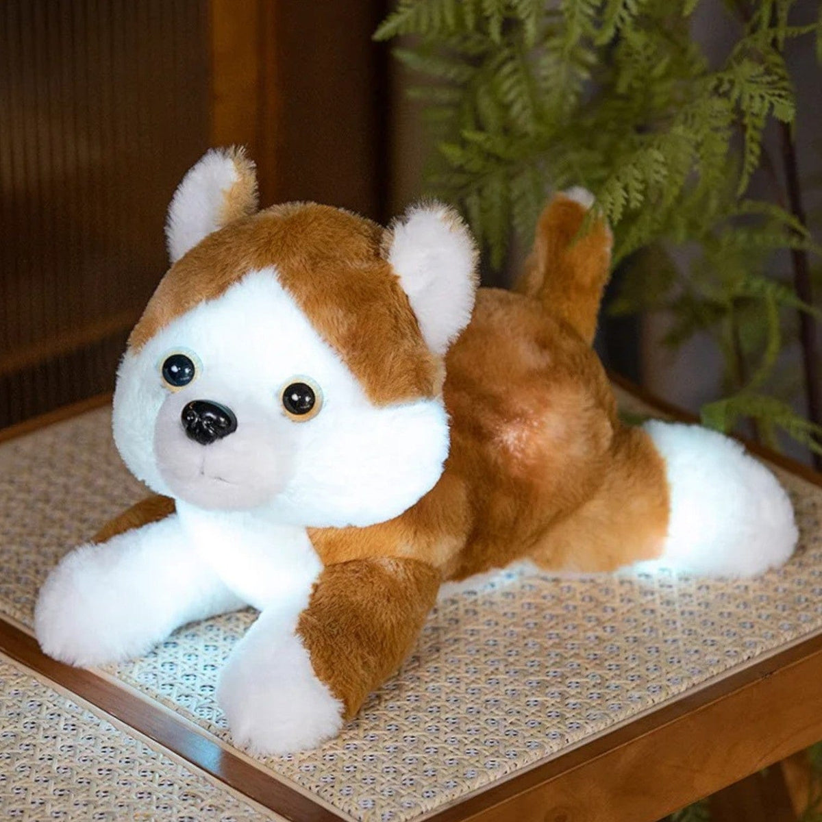 Veilleuse peluche husky